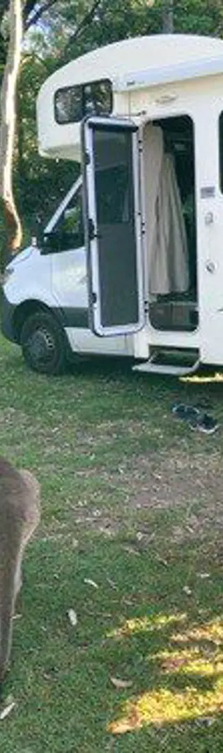 Spontanes Abenteuer im Carnarvon-Nationalpark